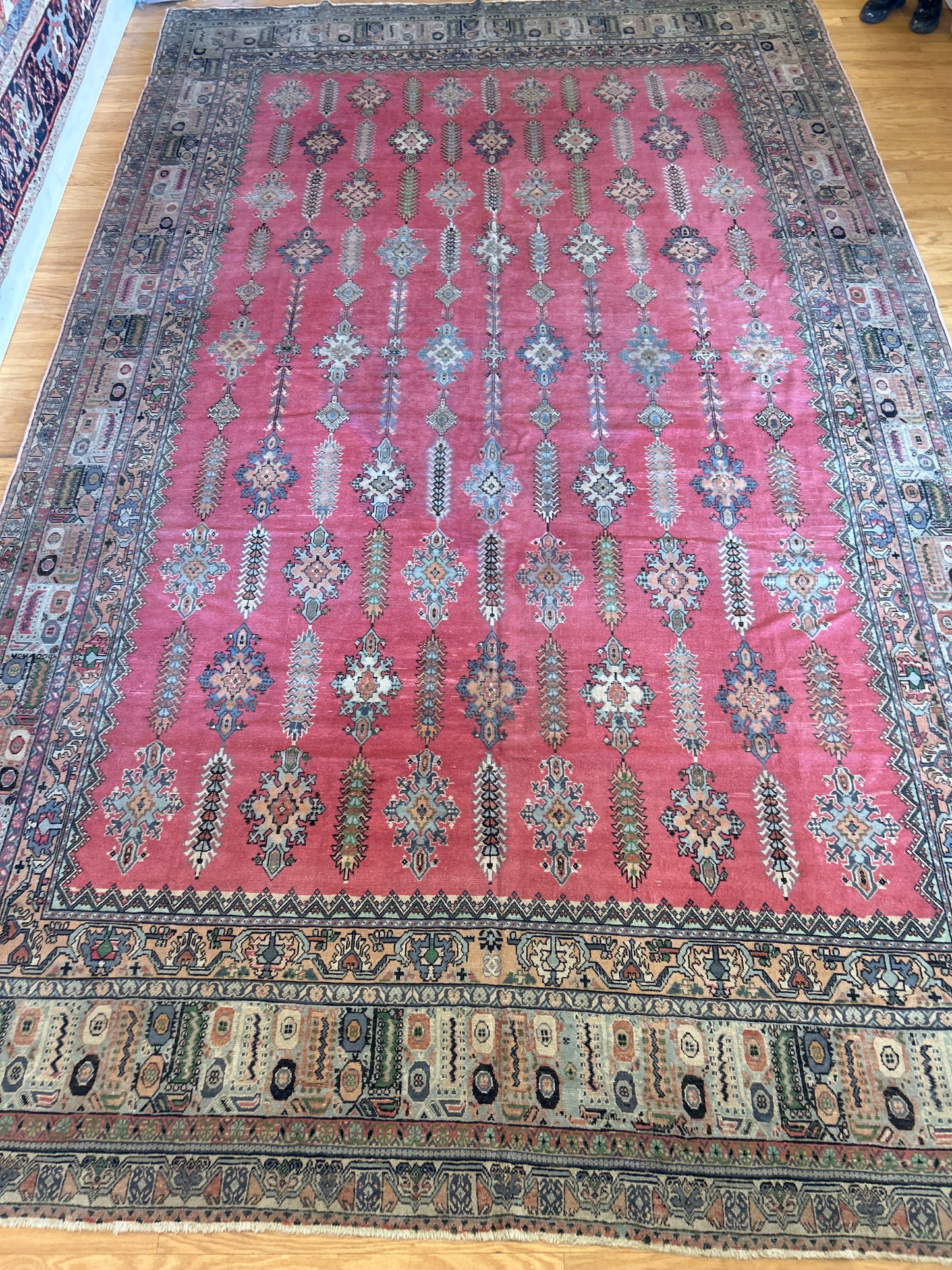 Turkish Sevas - 10.0x16.8 - 181815
