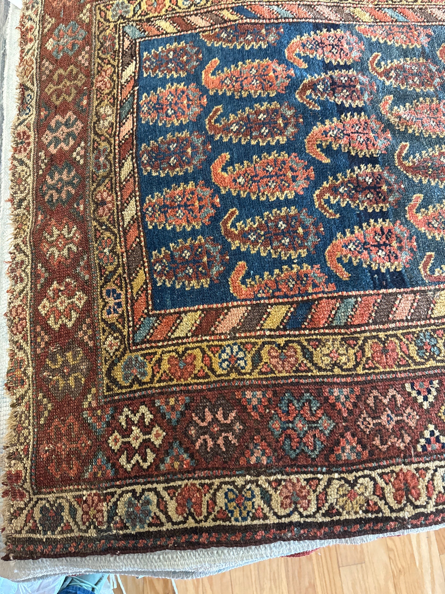 Persian Kurdish - 3.4x15.0 - 55431
