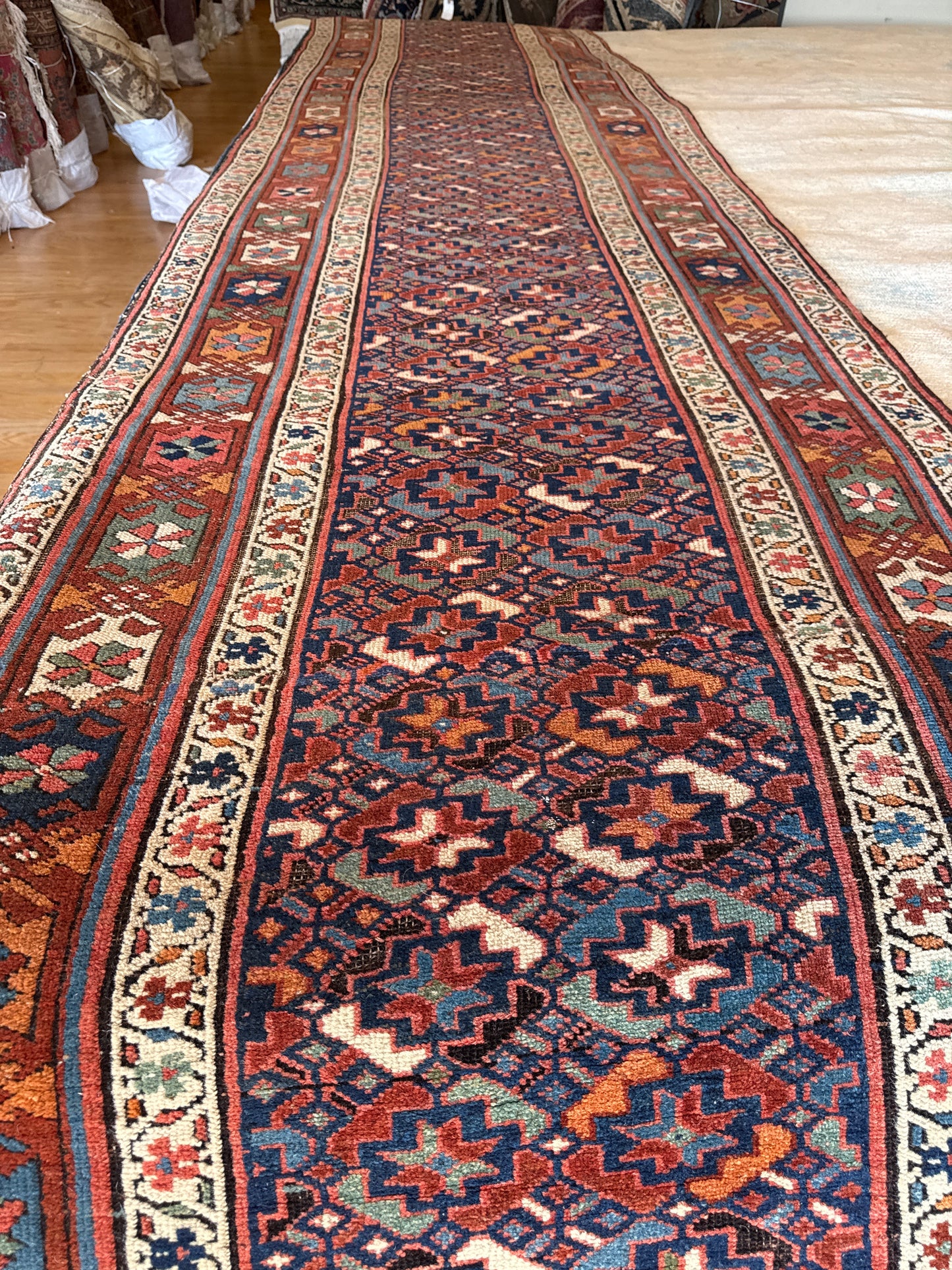 Persian Kurdish - 3.5x16.10 - FA116930