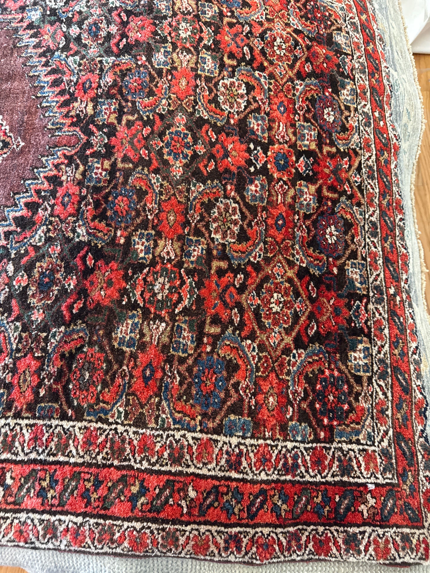 Persian Malayer - 3.7x13.5 - FA11393