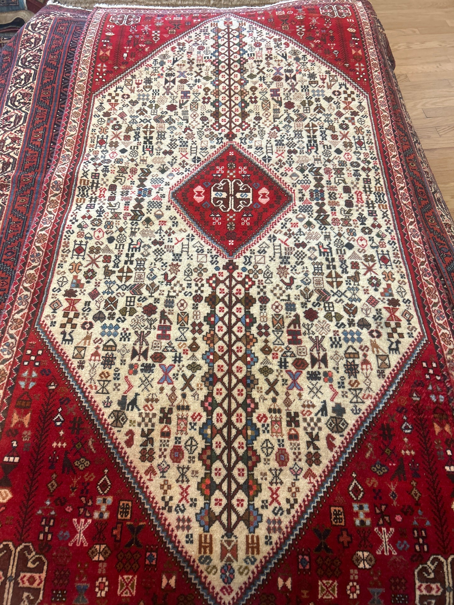 Persian Abbedeh - 3.2x6.6 -FA0216261