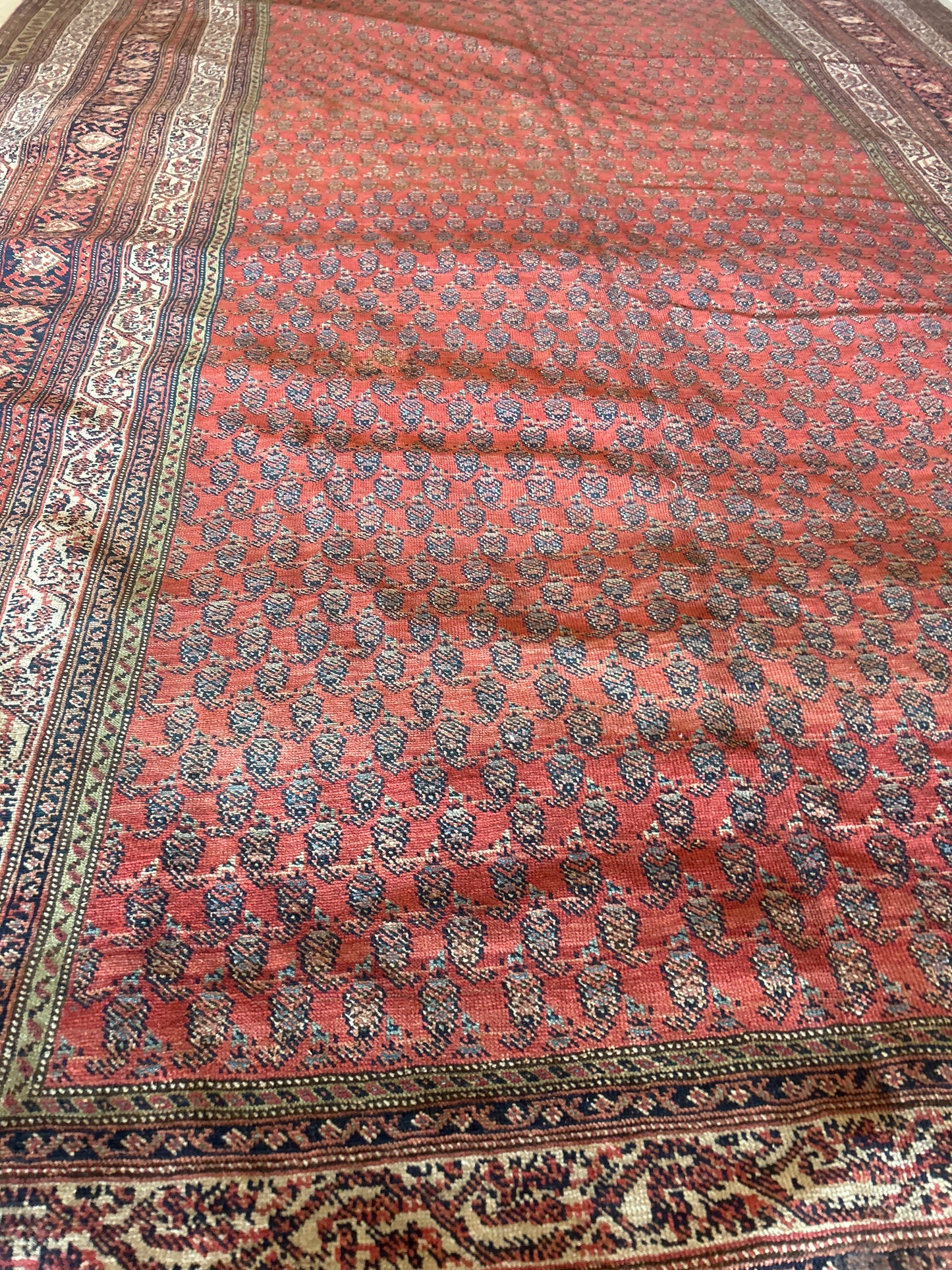 Persian Mir - 6.5x19.0 - AA16