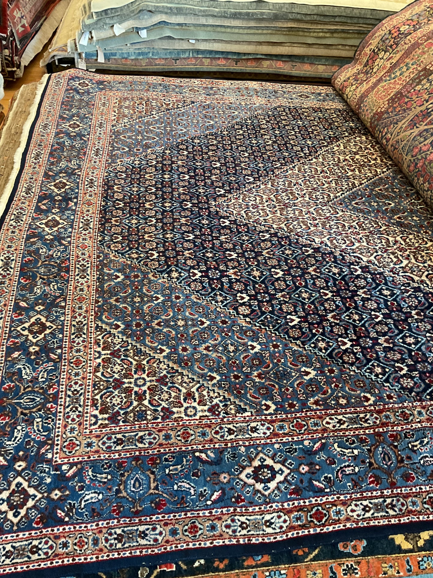 Persian Moud - 8.5x11.5 - 11931