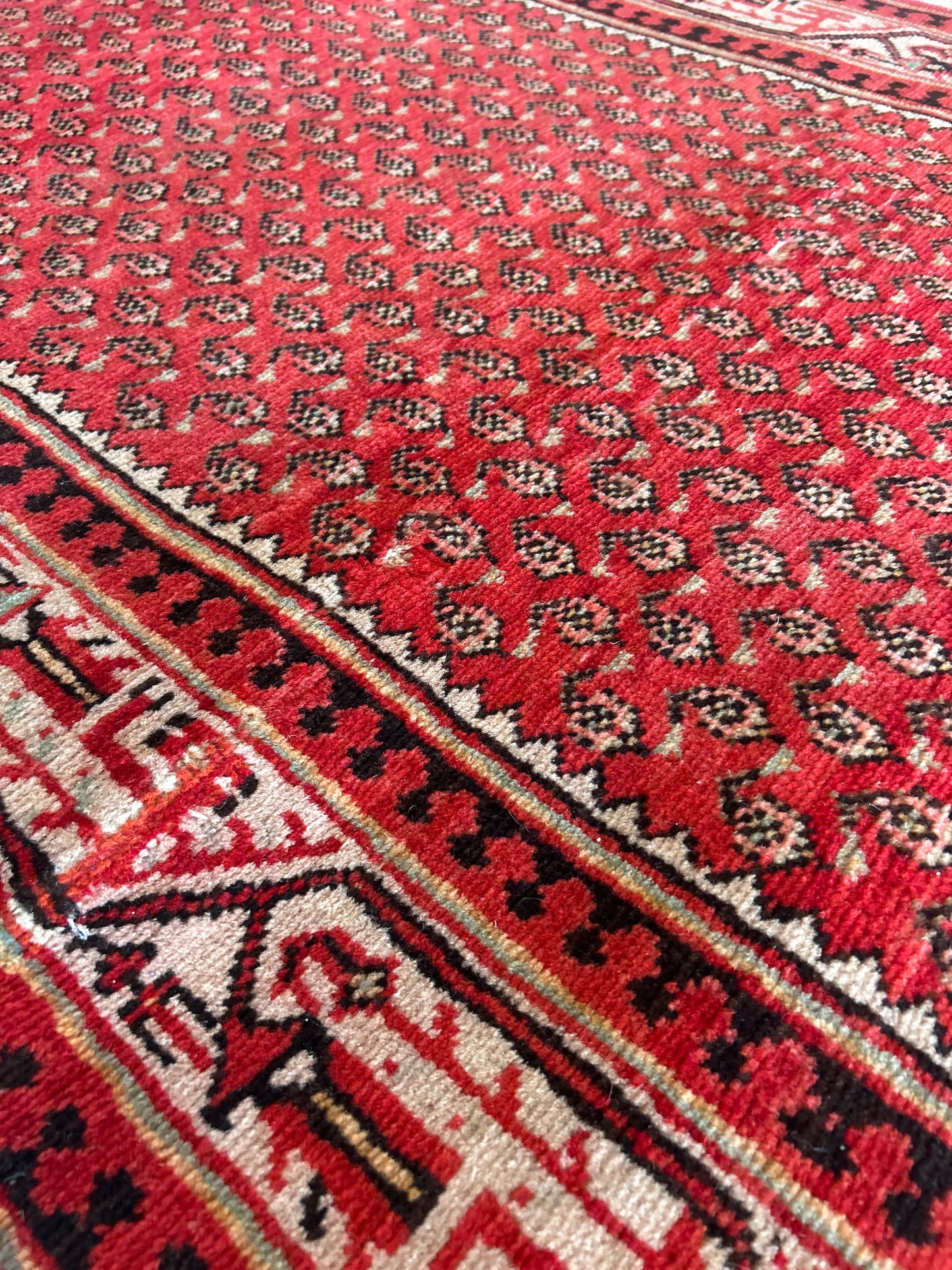 Persian Mir - 3.6x10.0 - 136992