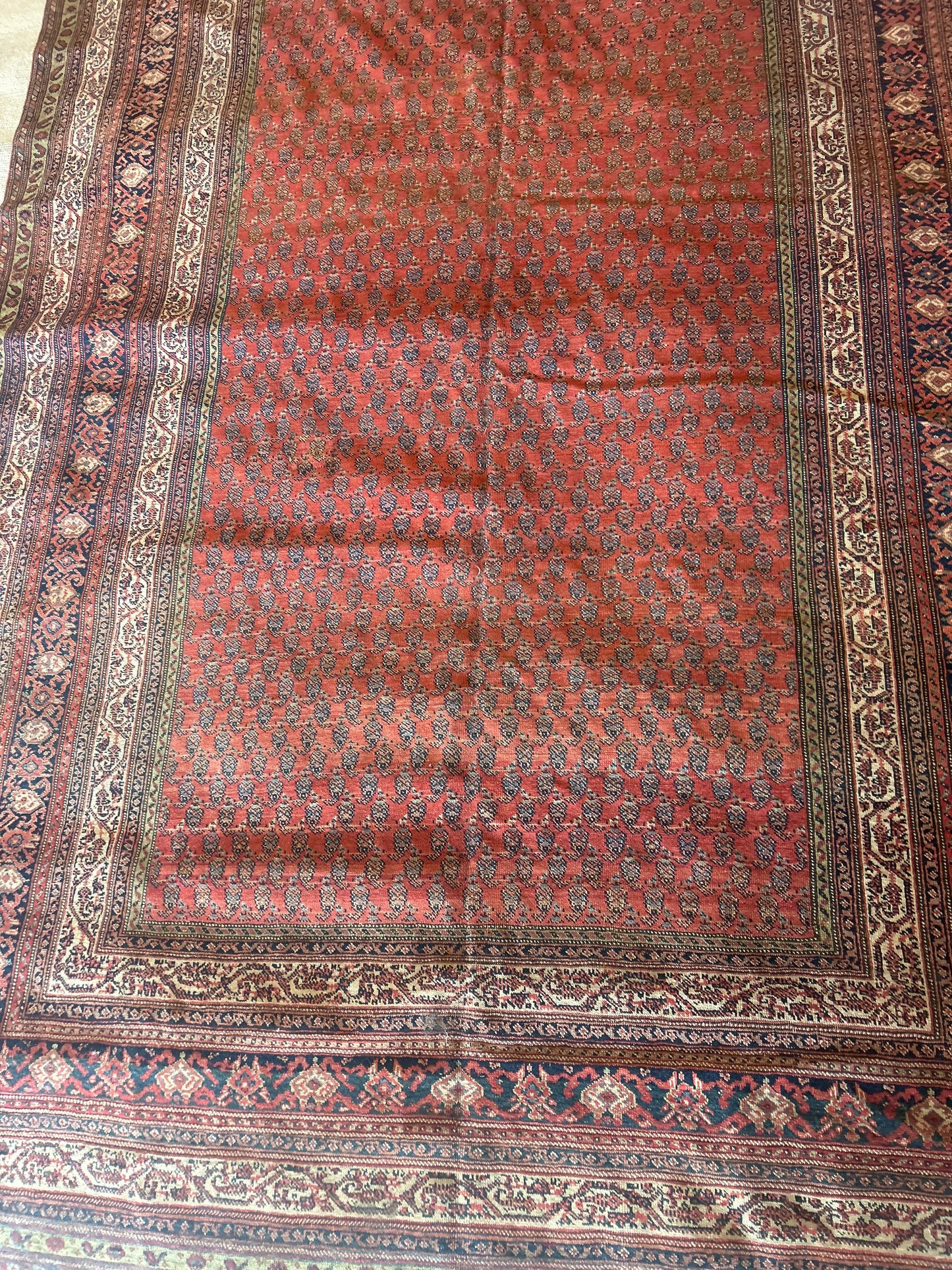 Persian Mir - 6.5x19.0 - AA16