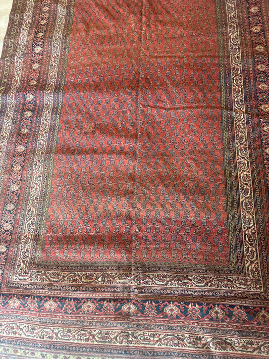 Persian Mir - 6.5x19.0 - AA16