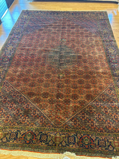 Vintage Persian Bidjar Rug, 10' x 13'9", in baby blue, brick and navy - photo 3