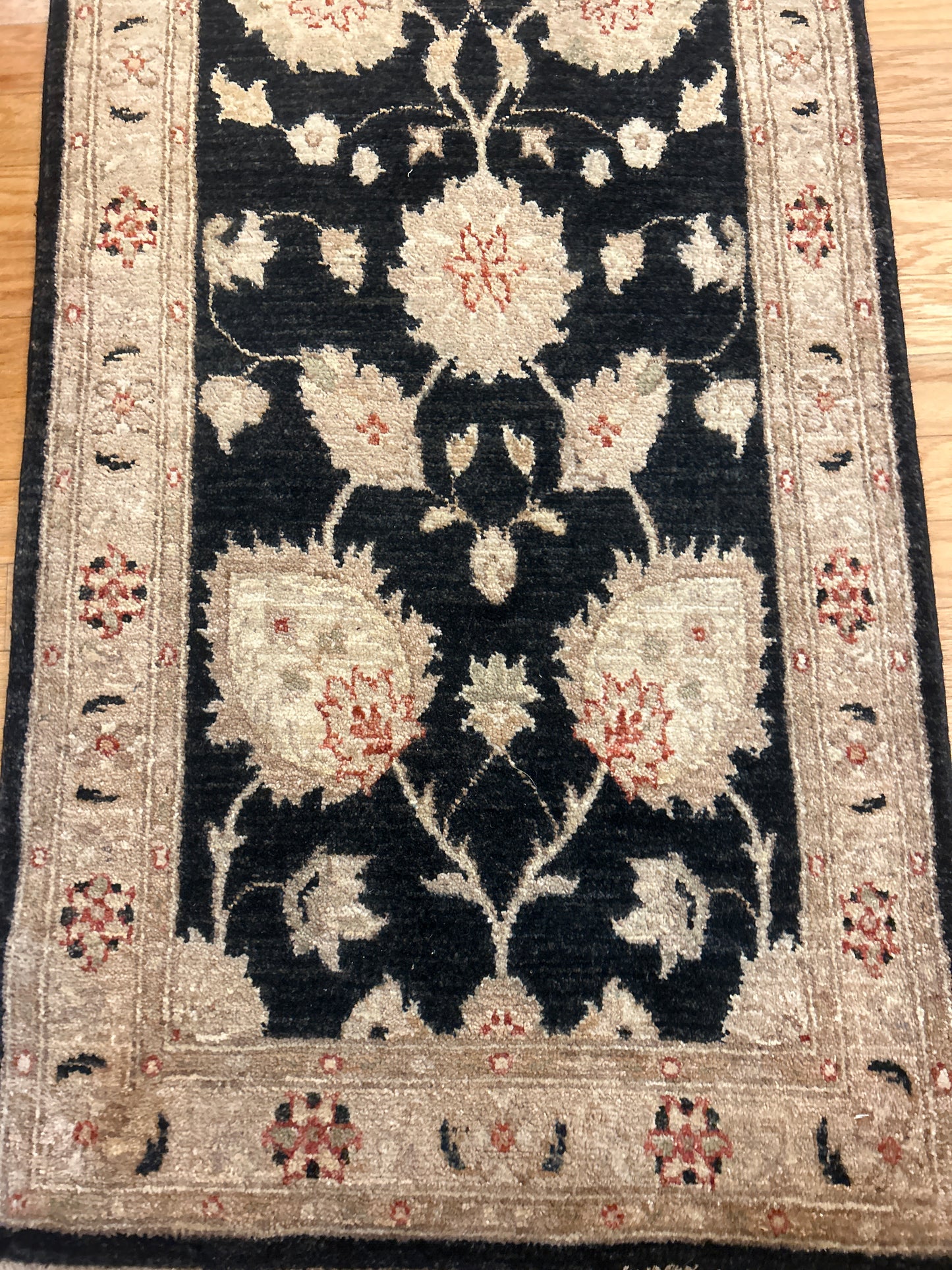 Pakistan Peshawar - 2.7x20.1 - L6166