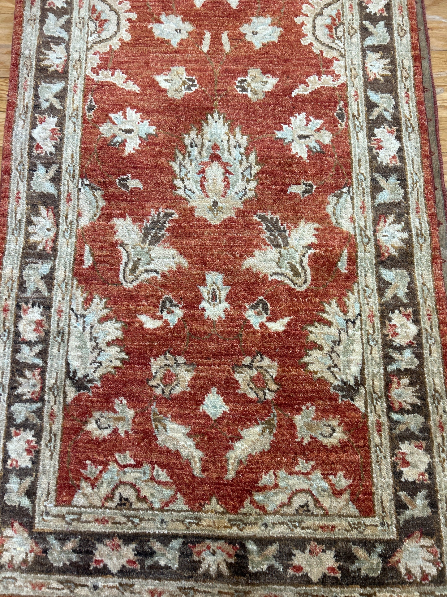 Pakistan Peshawar - 2.8x20.2 - L6167