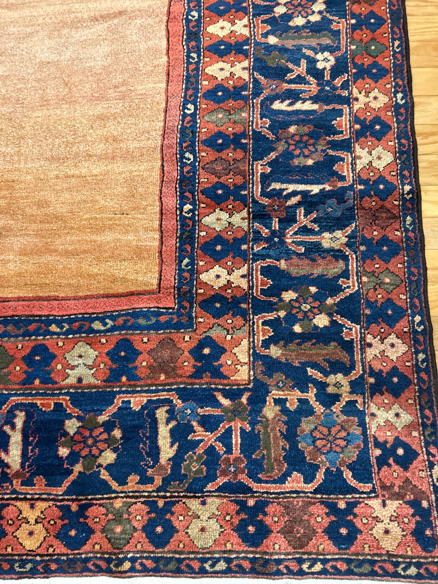 Persian Zigler Mohal - 12.2x16.8 - J5460