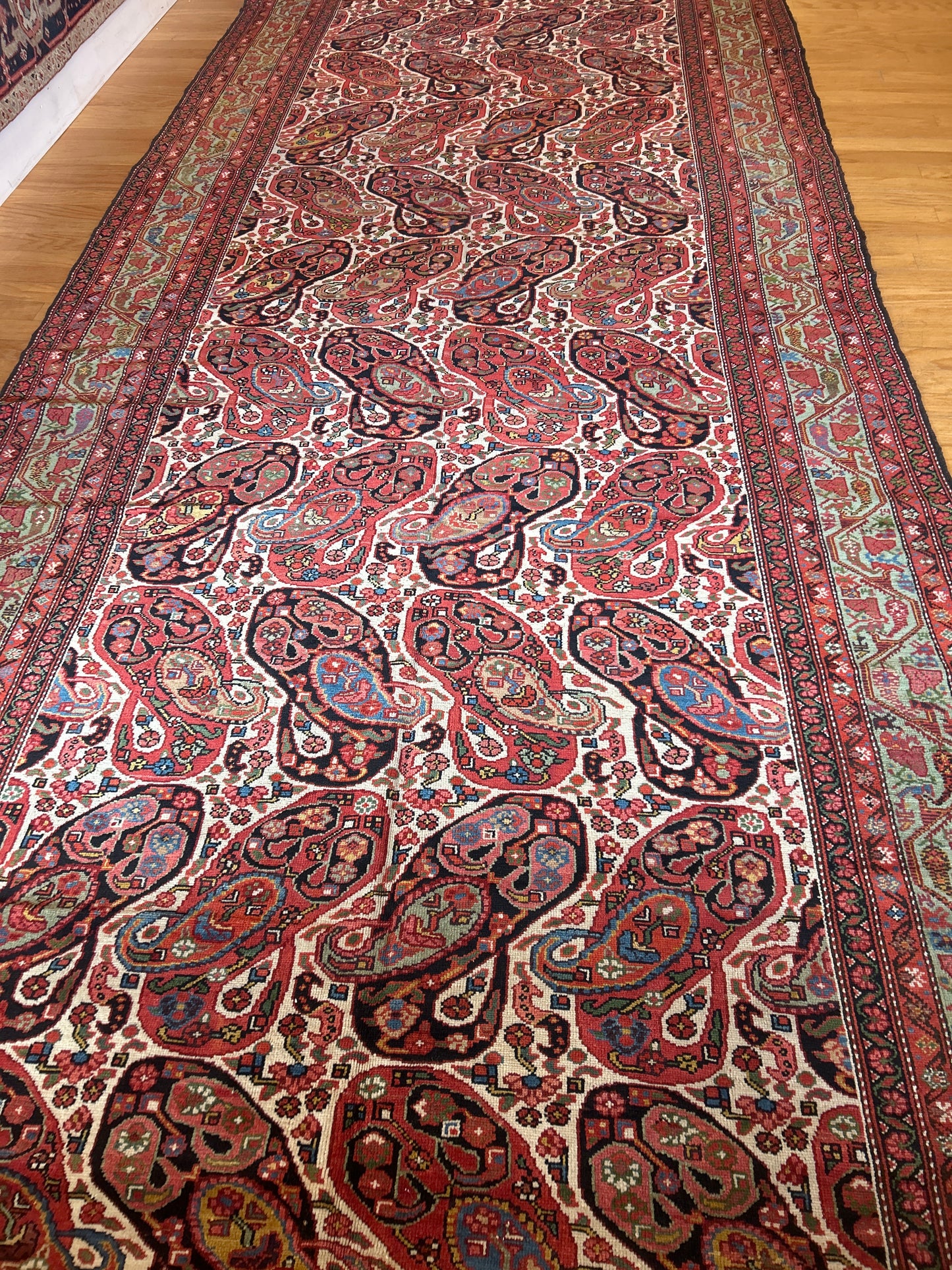 Persian Kurdish Malayer - 6.6x16.9 - 121608