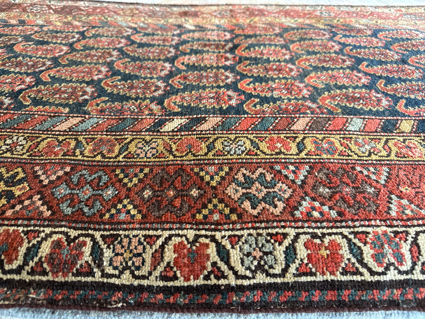 Persian Kurdish - 3.4x15.0 - 55431