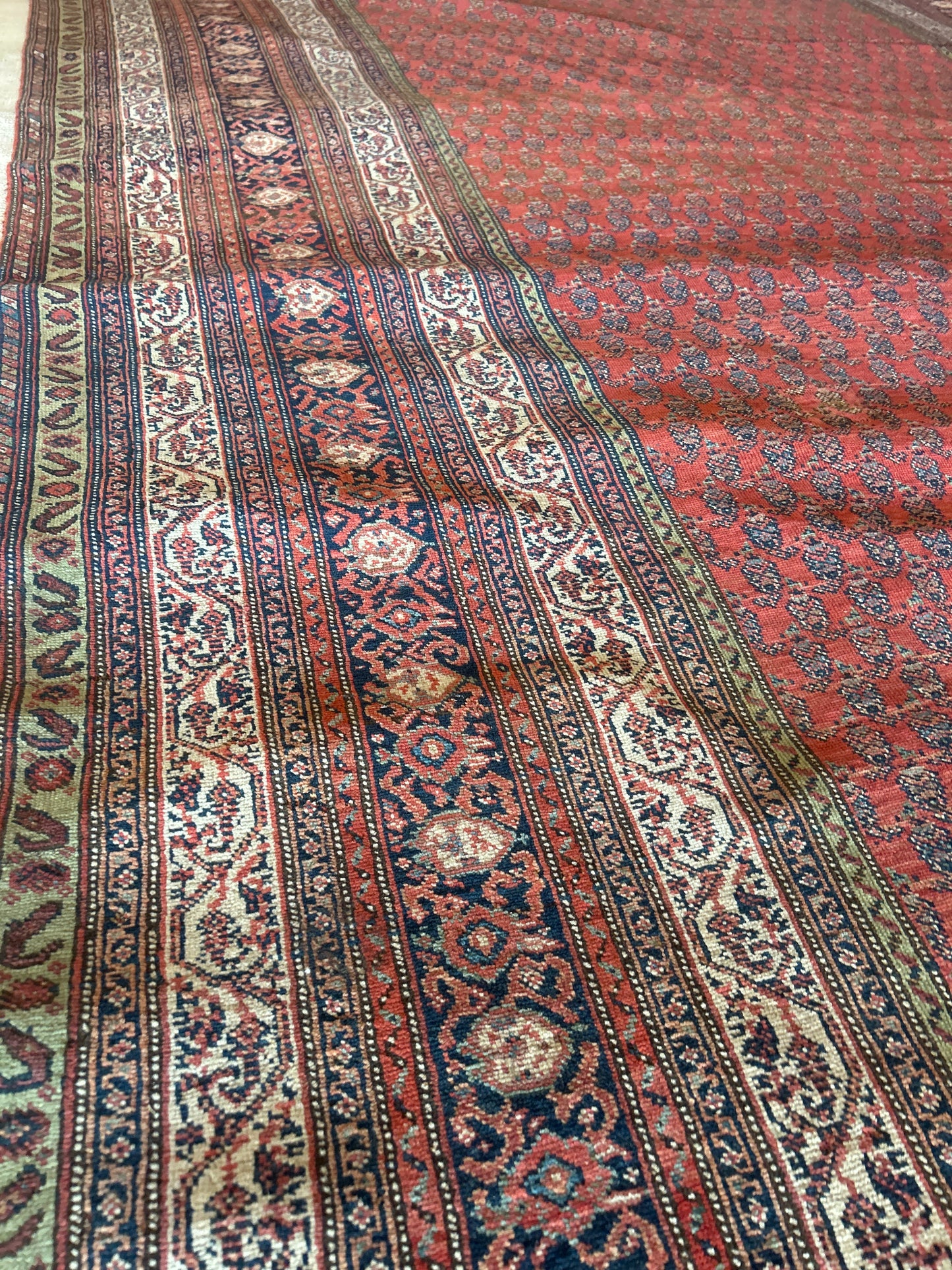 Persian Mir - 6.5x19.0 - AA16