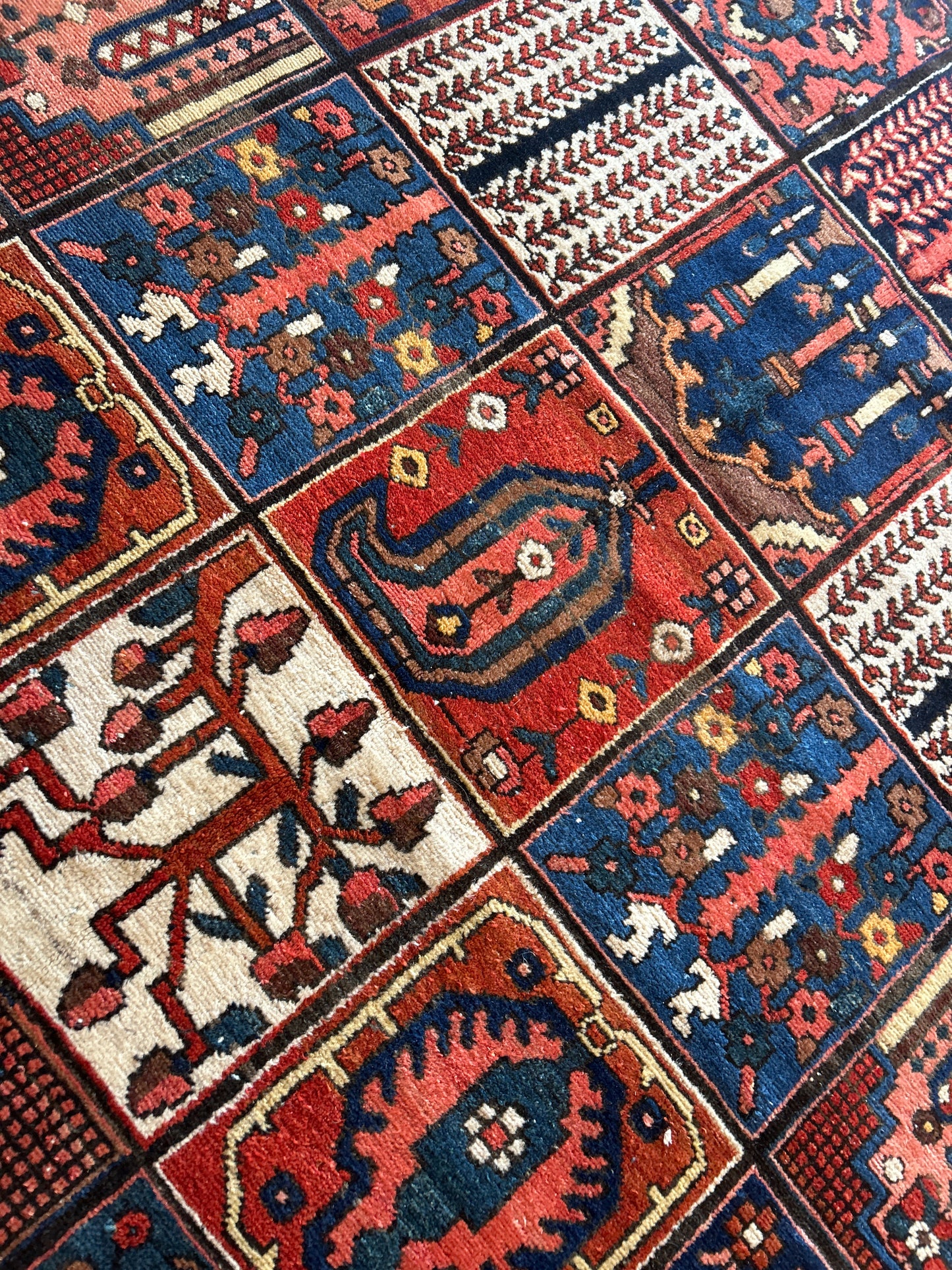 Persian Baktarie - 6.11x9.9 - 17179