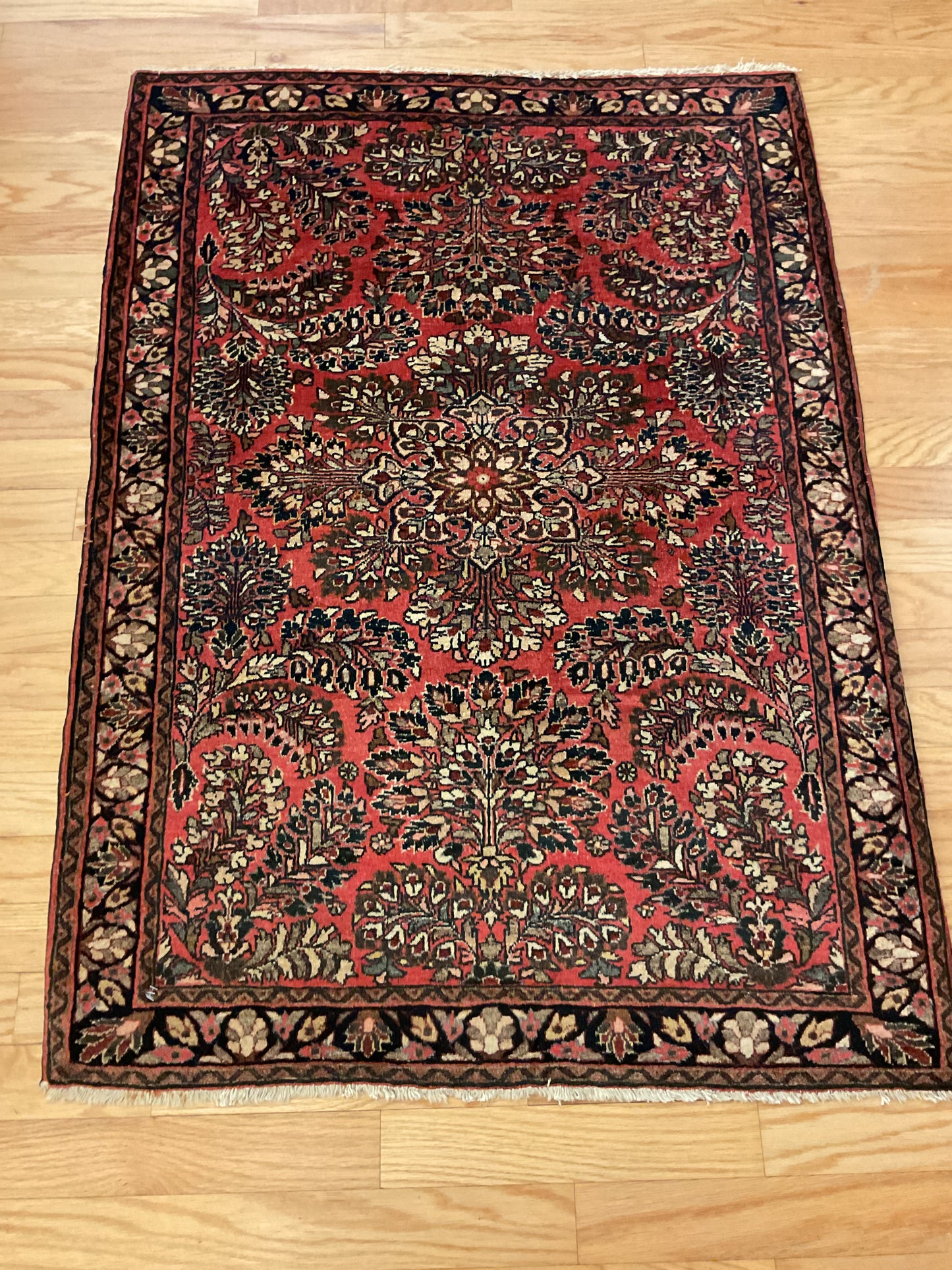 Persian Sarouk - 3.5x4.9 - F4238
