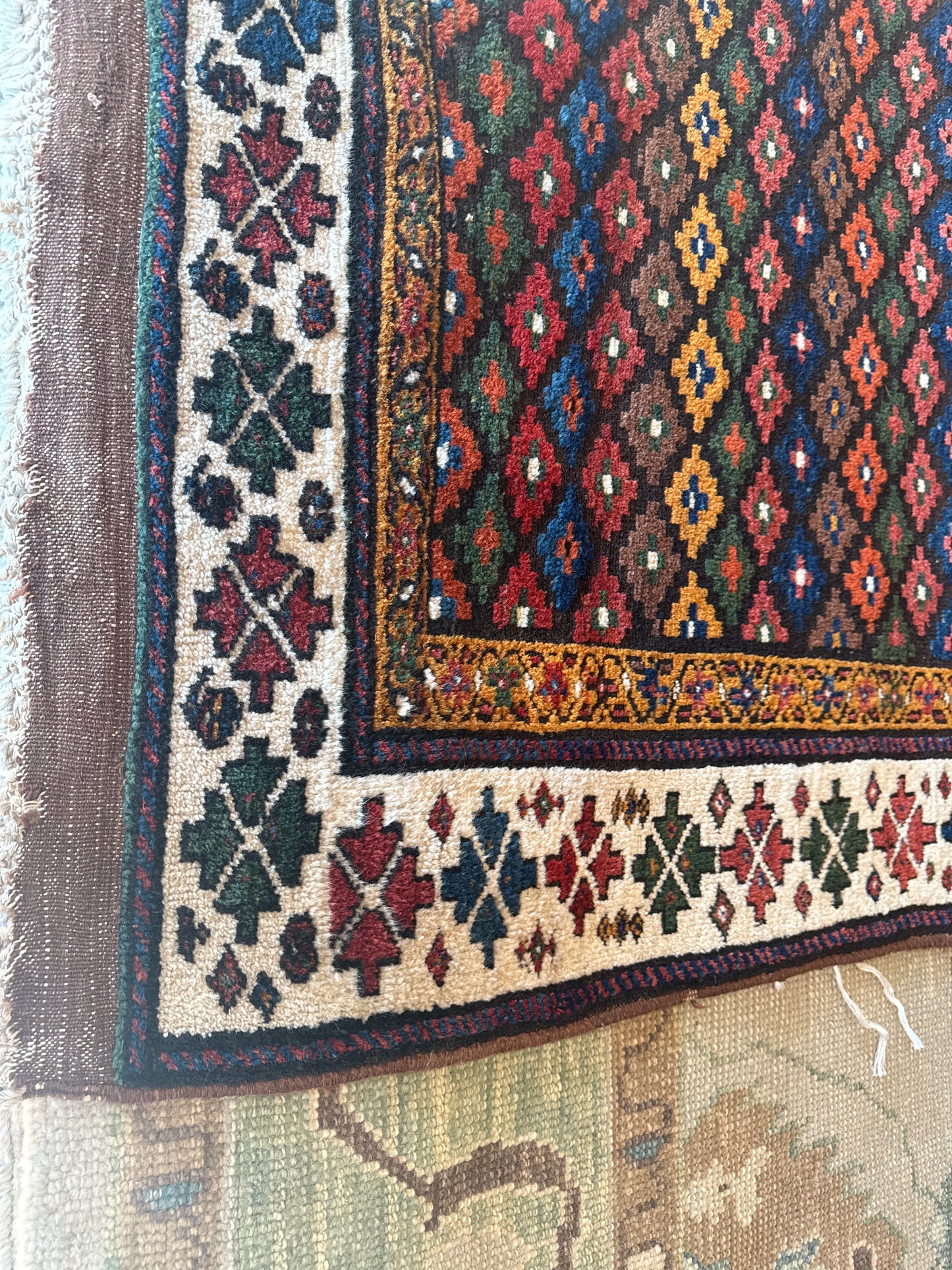Persian Kurdish - 4.2x10.7 - P1231