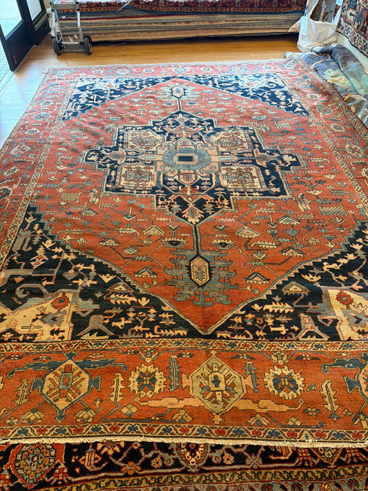 Persian Serapi - 10.0x13.5 - BN914261