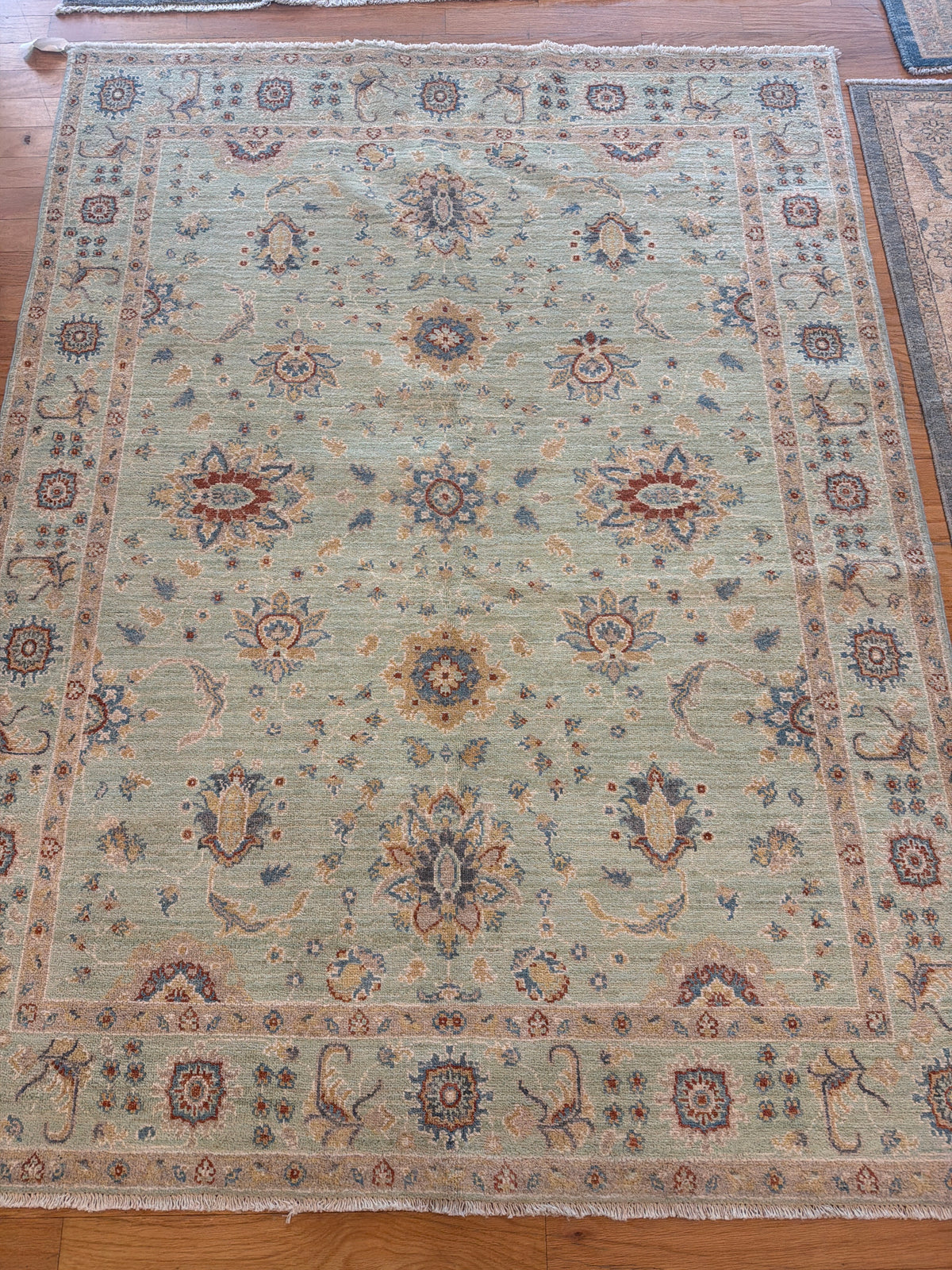 Pakistan Peshawar - 5.0x6.6 - 1640