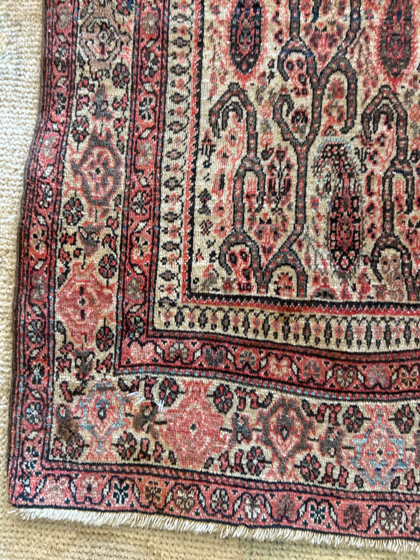 Persian Paisley - 4.3x6.0 - Z23695
