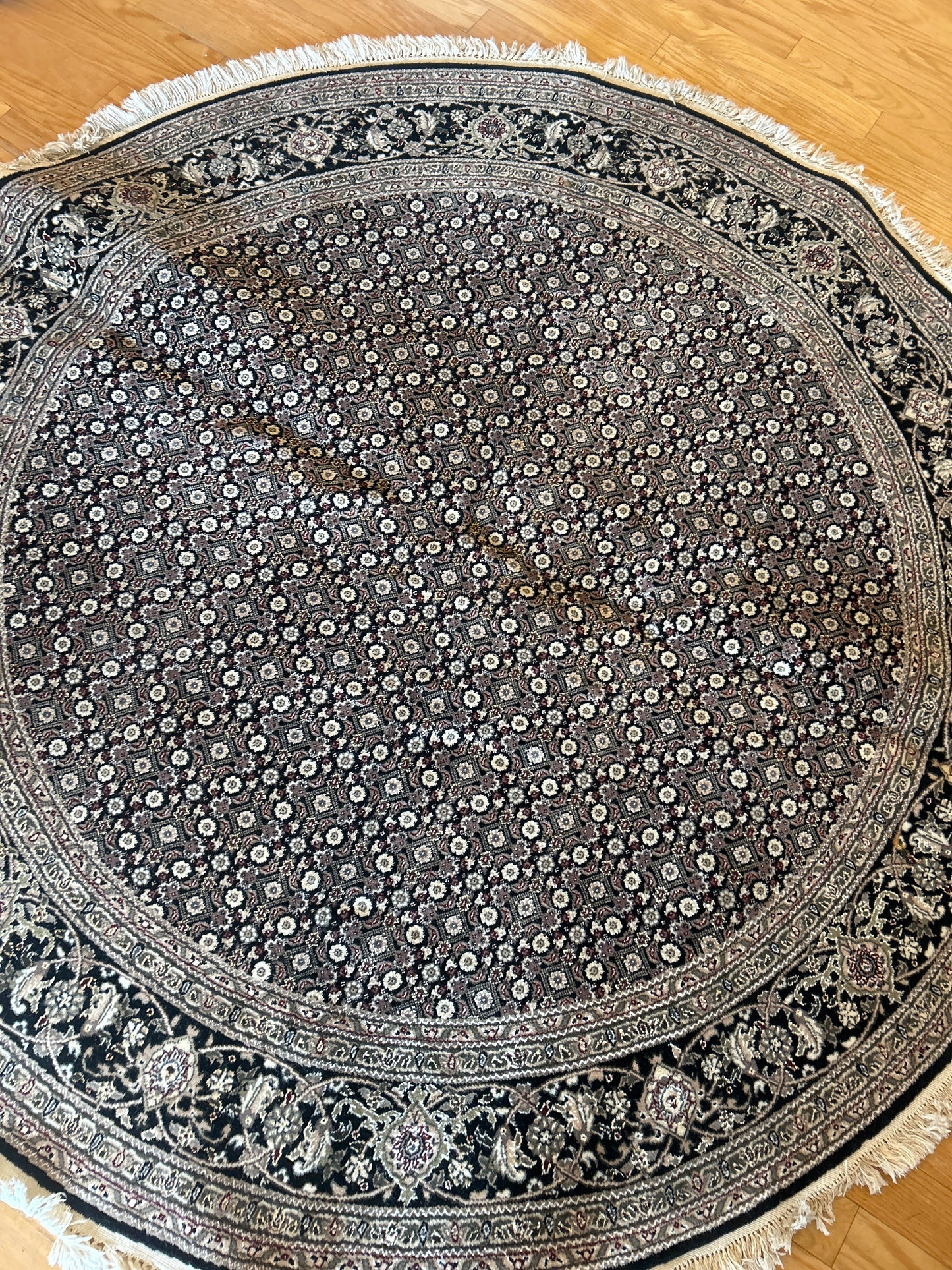 Sino Tabriz - 6.0x6.0 - B179964