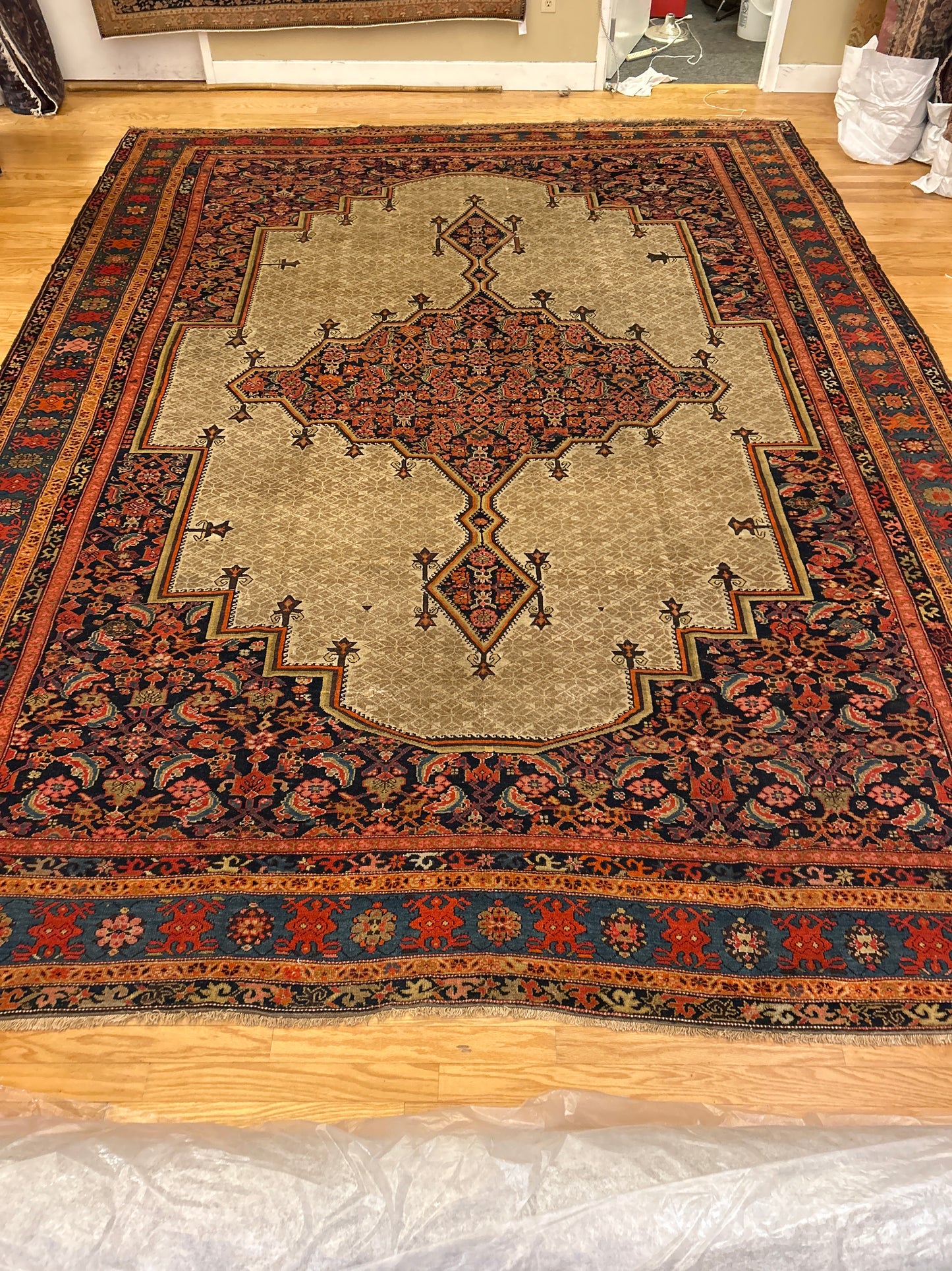 Persian Malayer - 11.9x15.5 - 116938