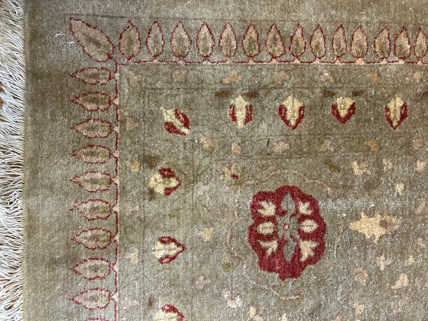 Afghan Sevas - 12.0x14.11 - 169941