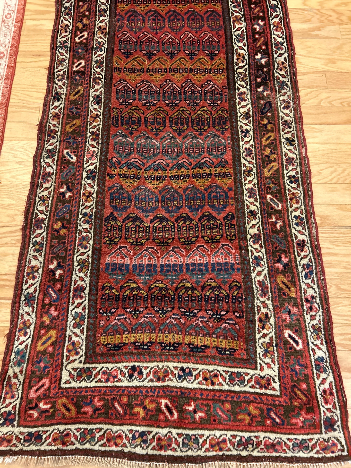 Persian Northwest - 2.11x13.7 - 142345
