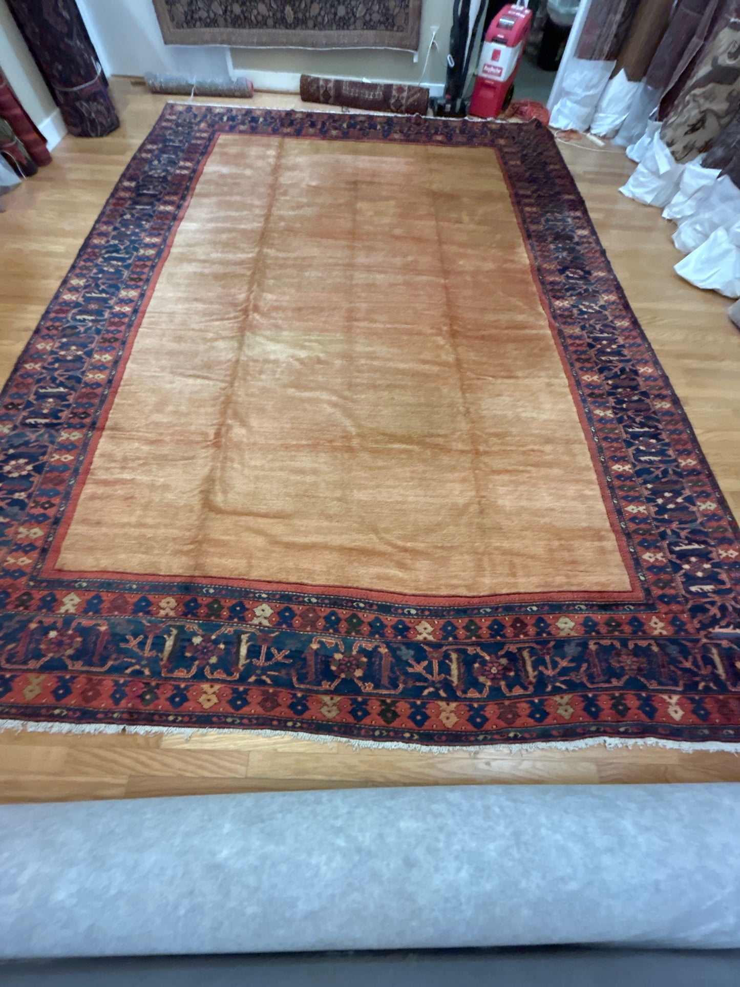 Persian Zigler Mohal - 12.2x16.8 - J5460