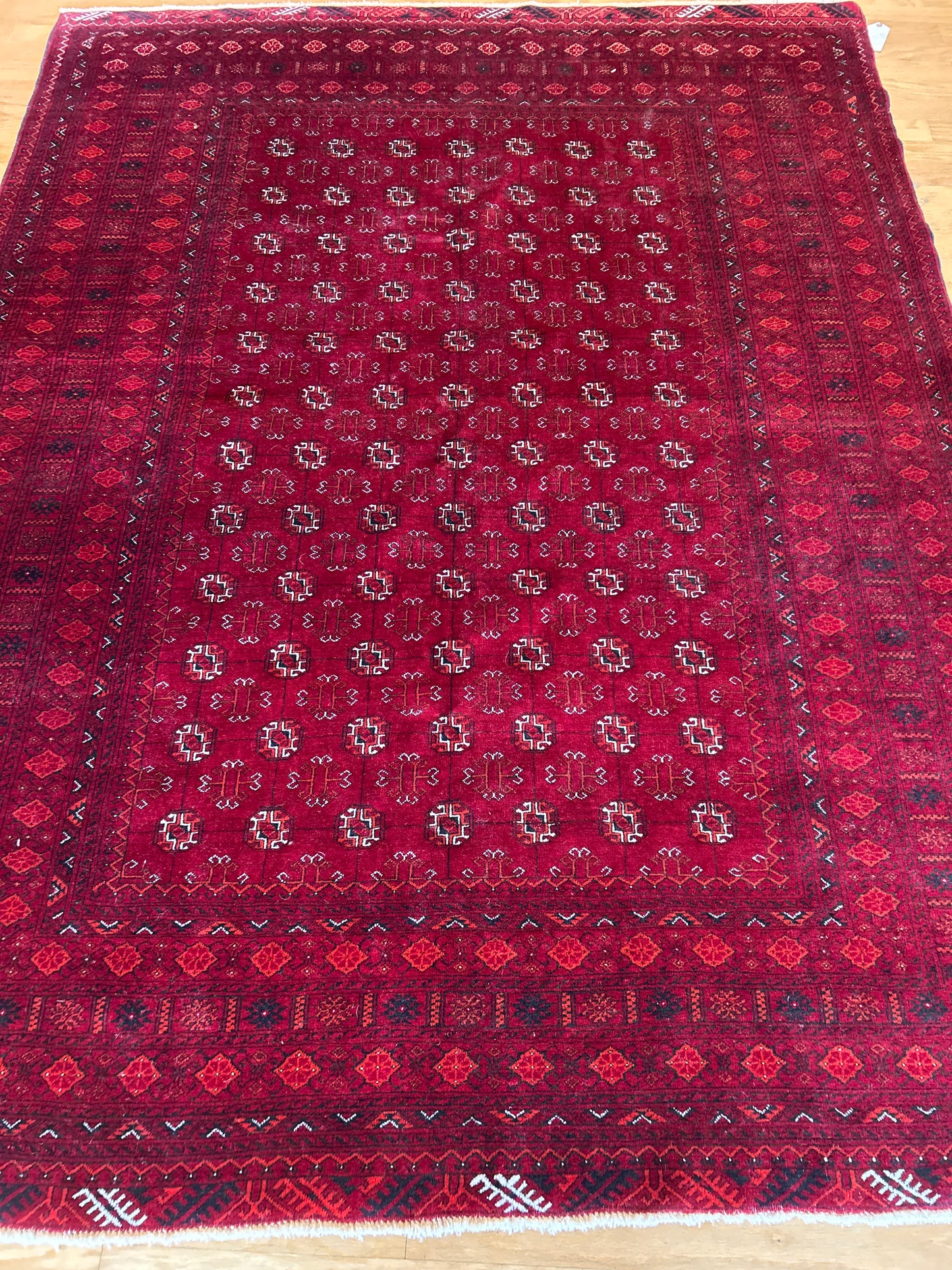 Afghan Bokhara - 6.7x8.7 - TI22261