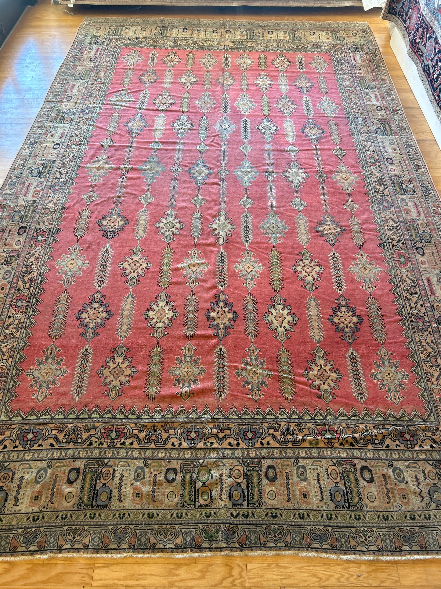 Turkish Sevas - 10.0x16.8 - 181815