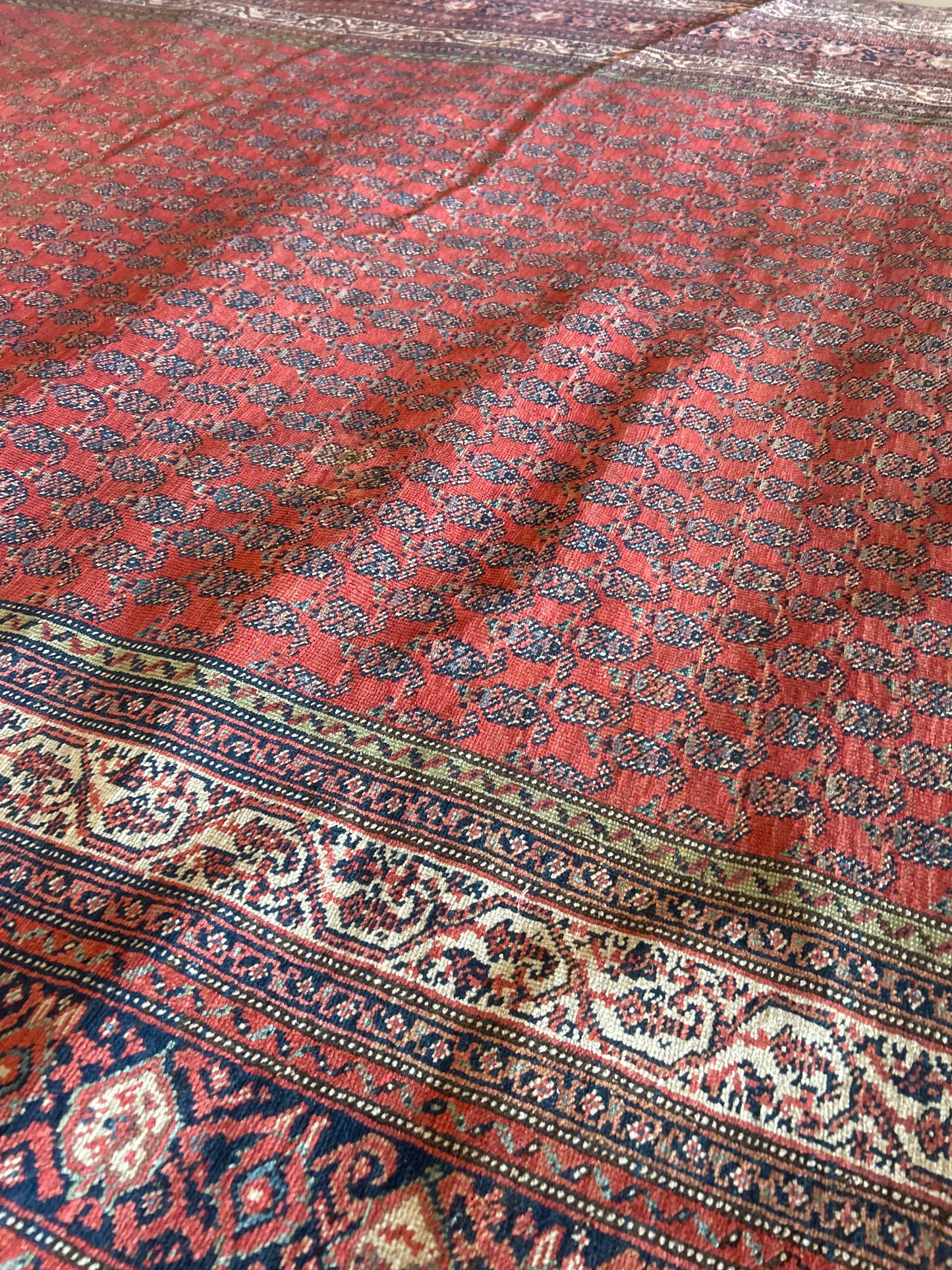 Persian Mir - 6.5x19.0 - AA16