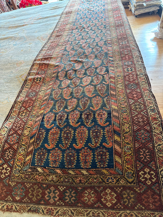 Persian Kurdish - 3.4x15.0 - 55431