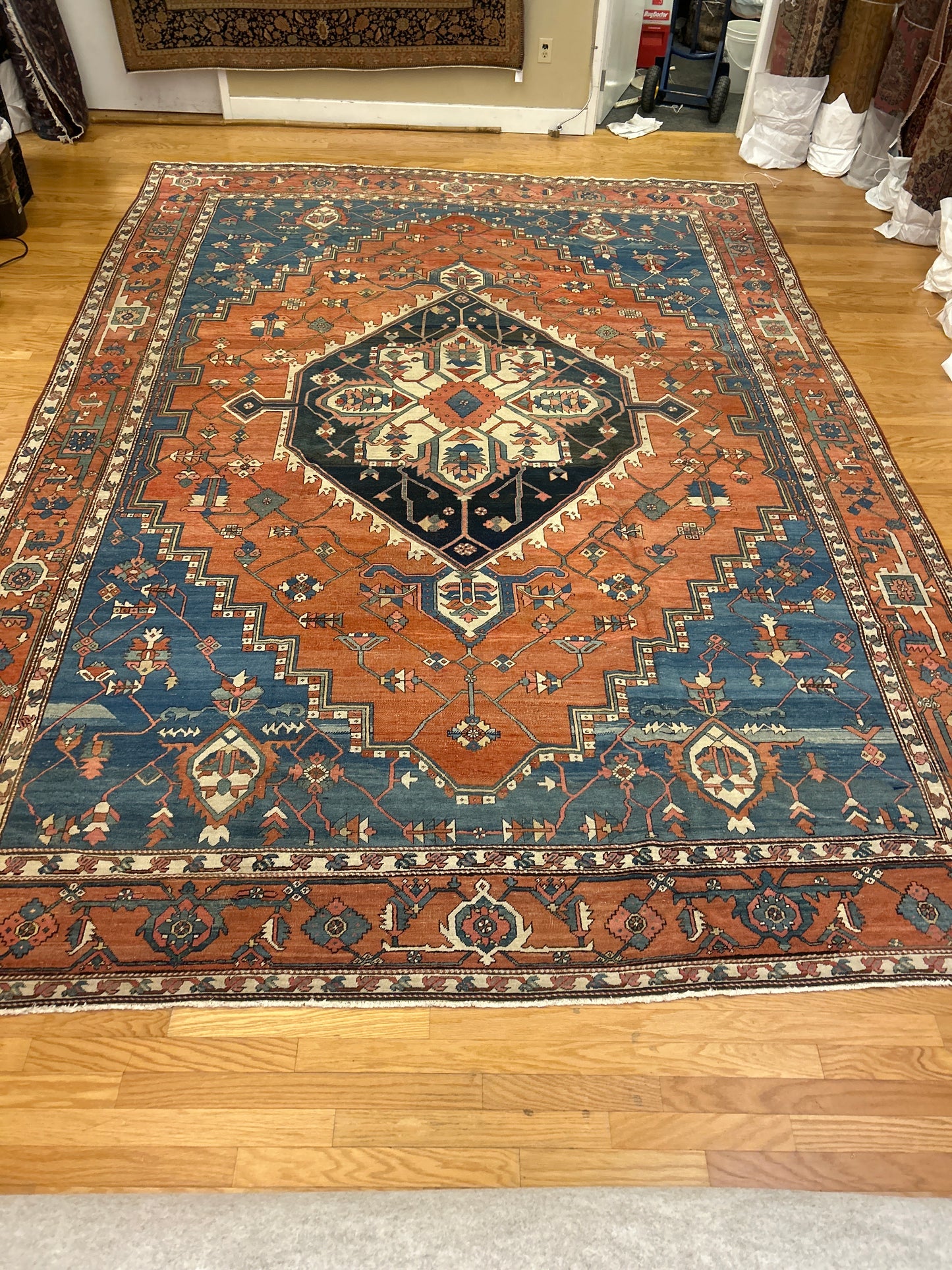 Persian Serapi - 11.3x14.5 - 11793W