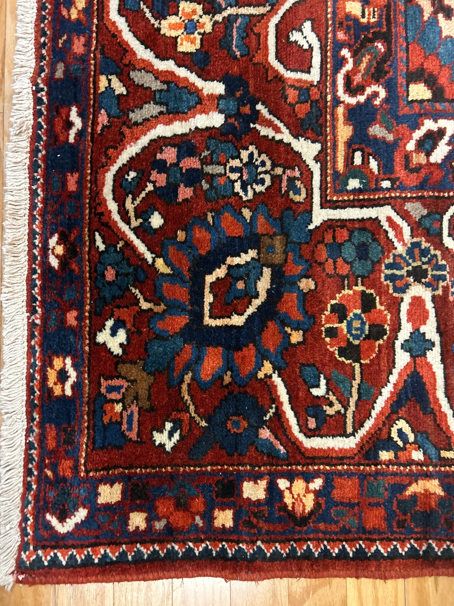 Persian Baktarie - 13.5x16.2 - 119671