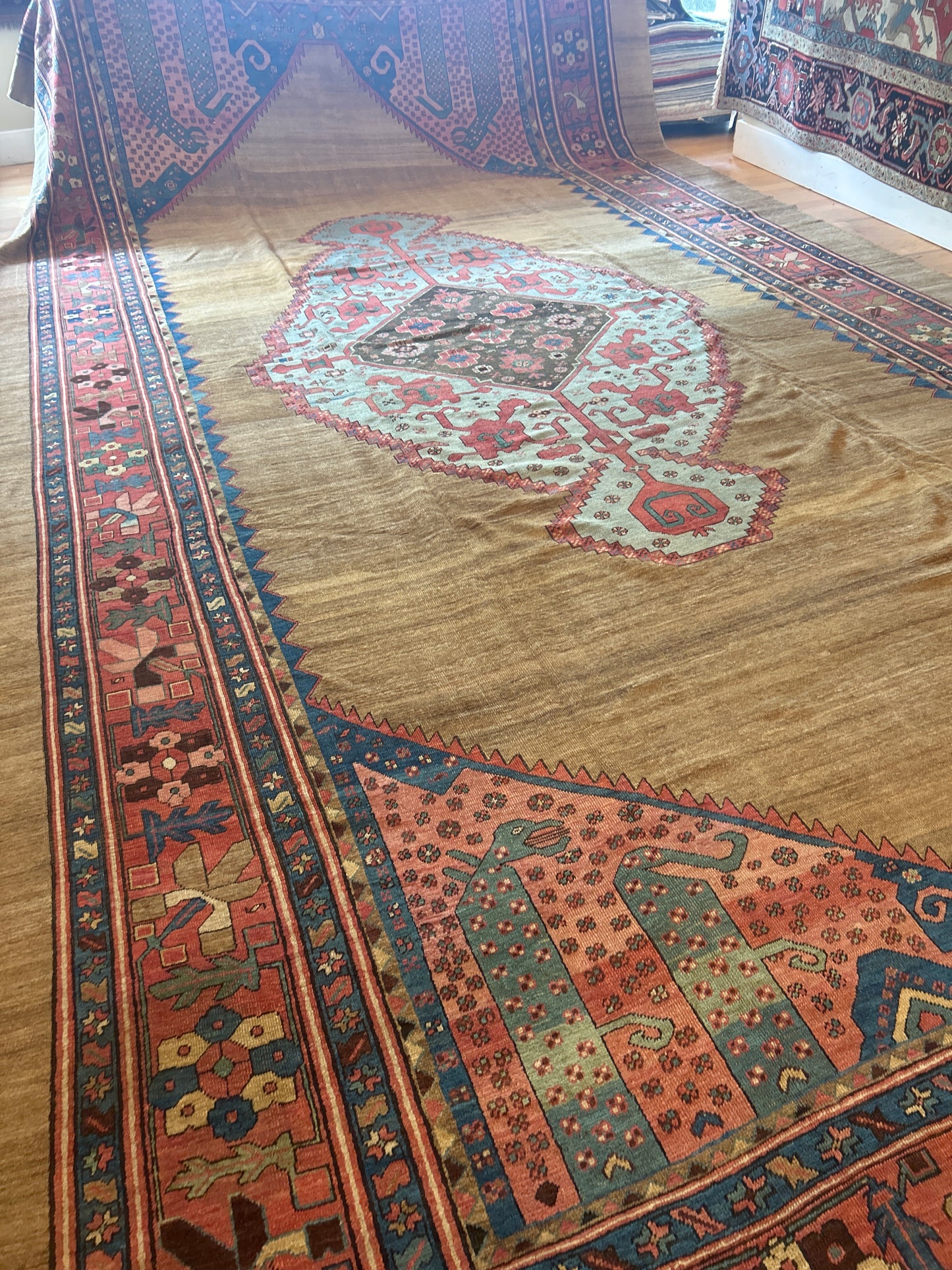 Persian Serapi - 11.3x20.10 - 121597