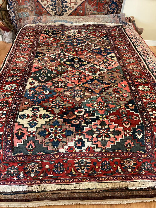 Persian Baktarie - 7.1x10.9 - 116551