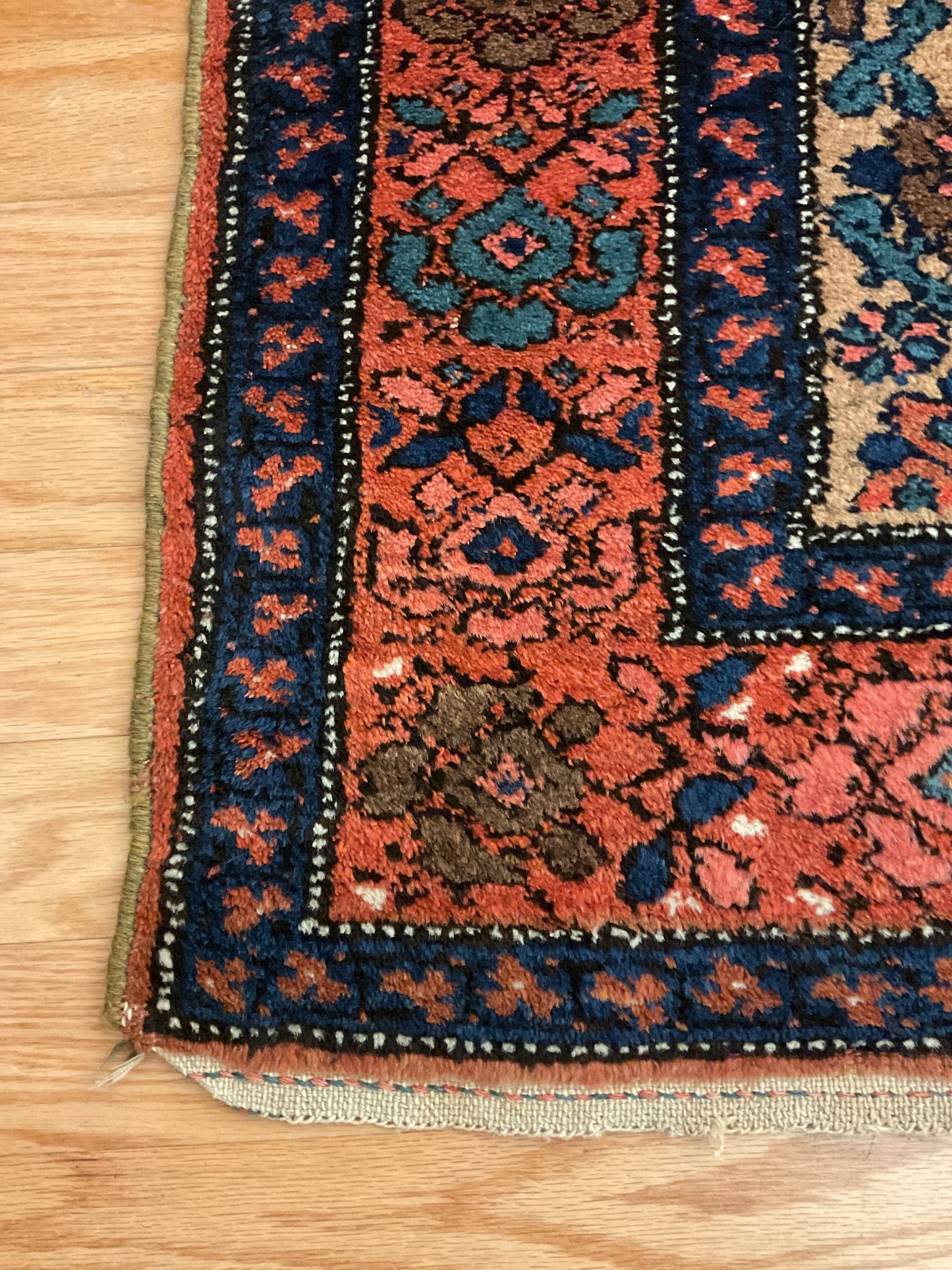Persian Anglas - 3.5x6.9 - 117939
