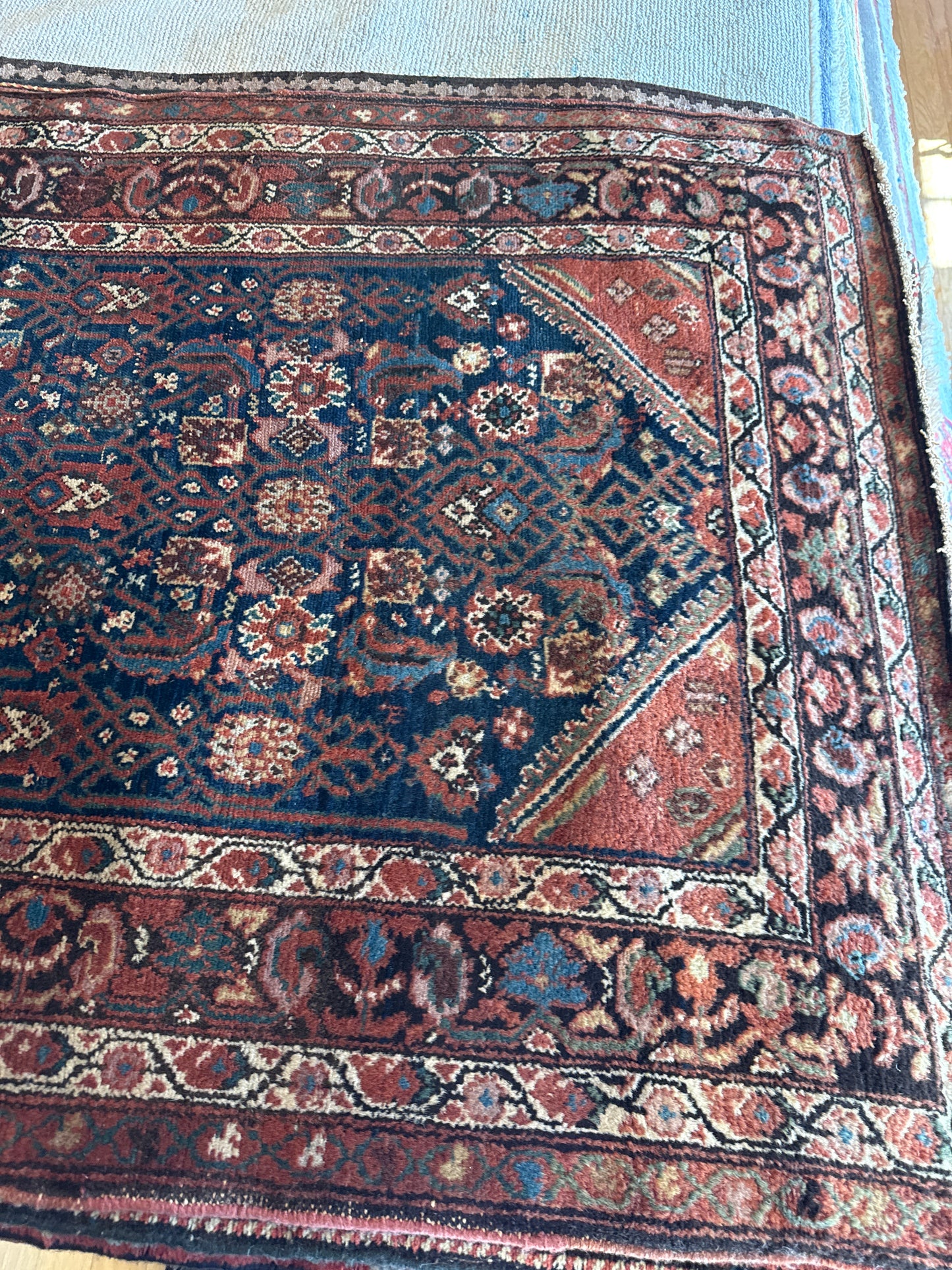 Persian Malayer - 3.4x13.3 - 139FA