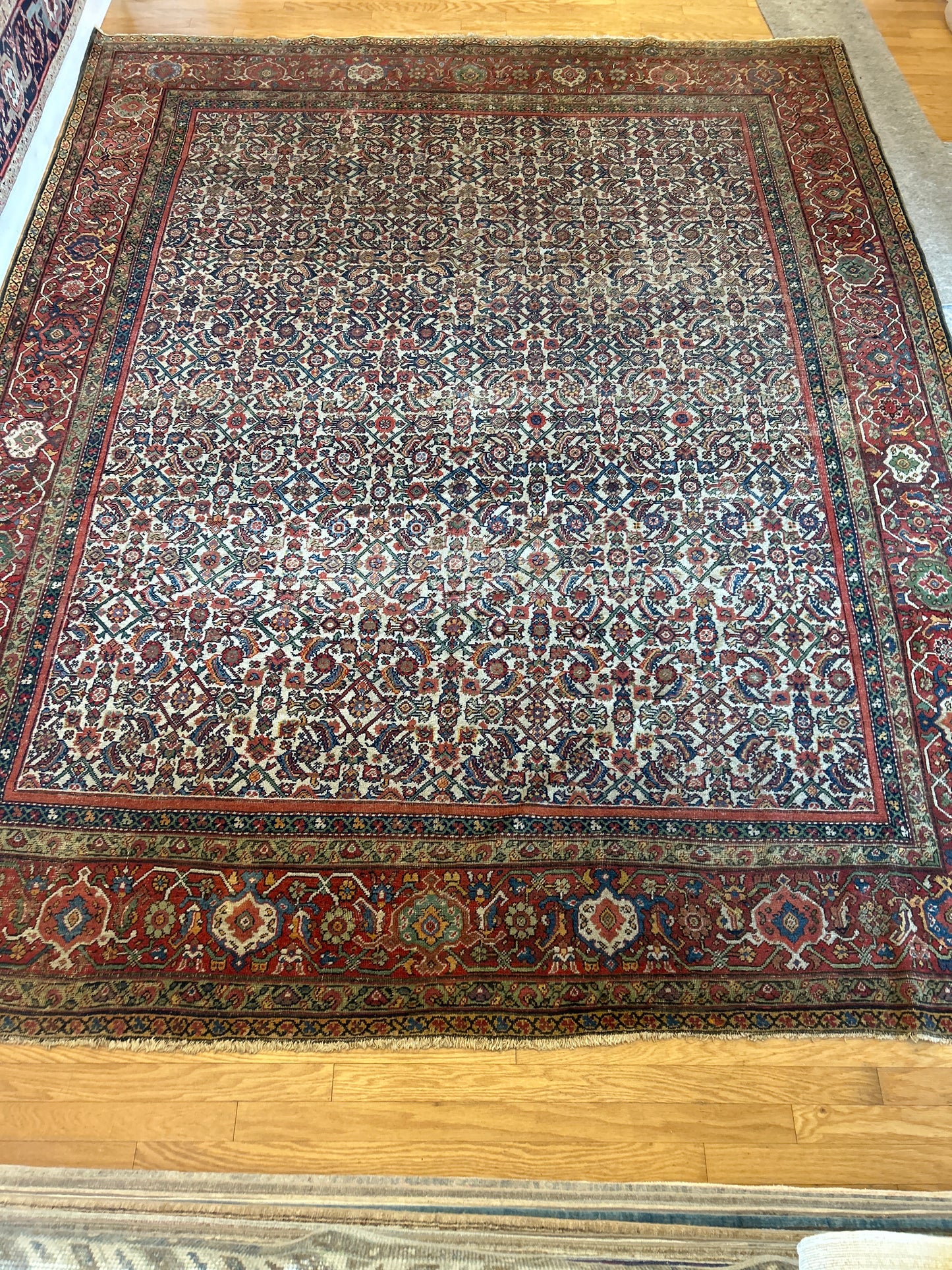 Persian Farahan - 10.8x13.5 - BN12826