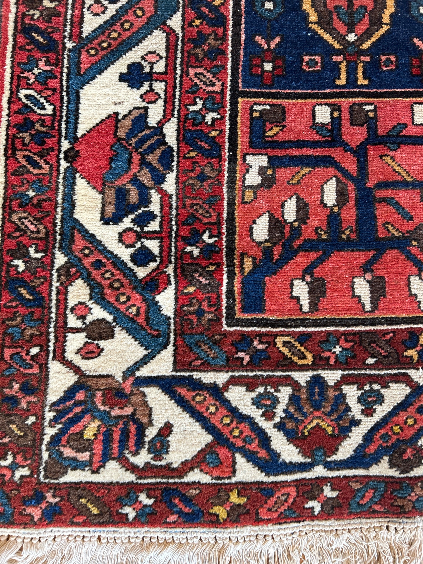 Persian Baktarie - 6.11x9.9 - 17179