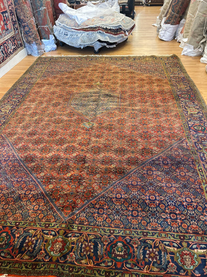 Vintage Persian Bidjar Rug, 10' x 13'9", in baby blue, brick and navy