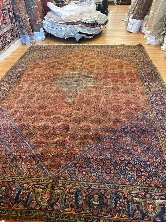 Persian Bidjar - 10.0x13.9 - 216325