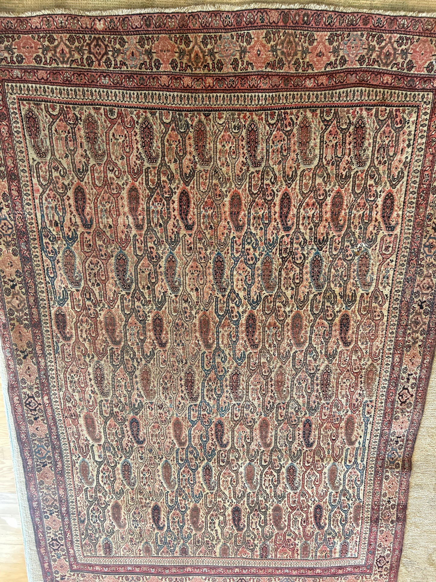 Persian Paisley - 4.3x6.0 - Z23695