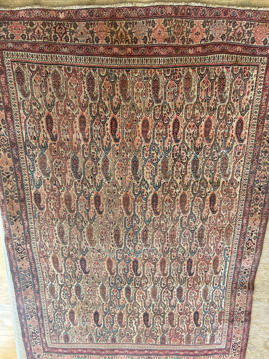 Persian Paisley - 4.3x6.0 - Z23695