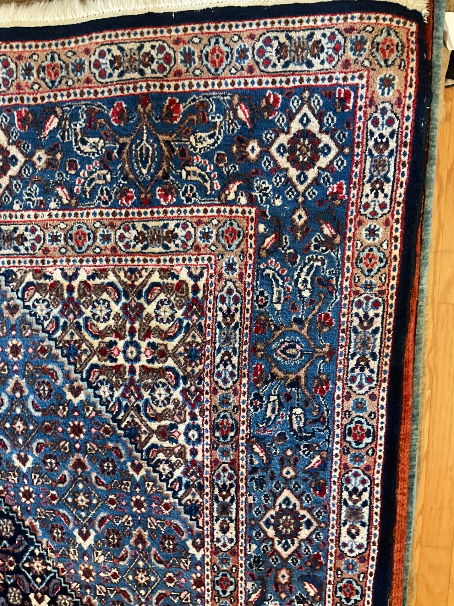 Persian Moud - 8.5x11.5 - 11931