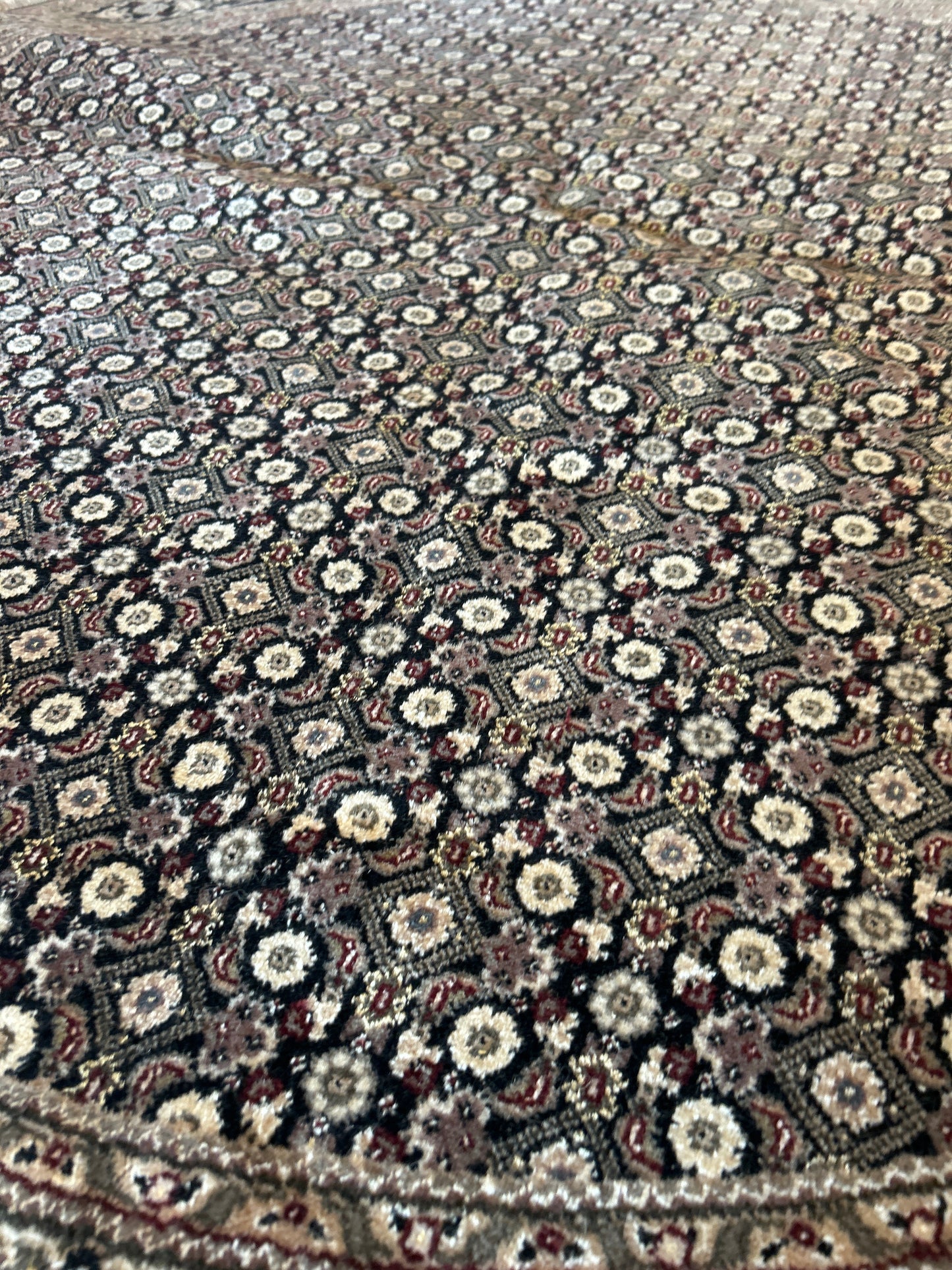 Sino Tabriz - 6.0x6.0 - B179964