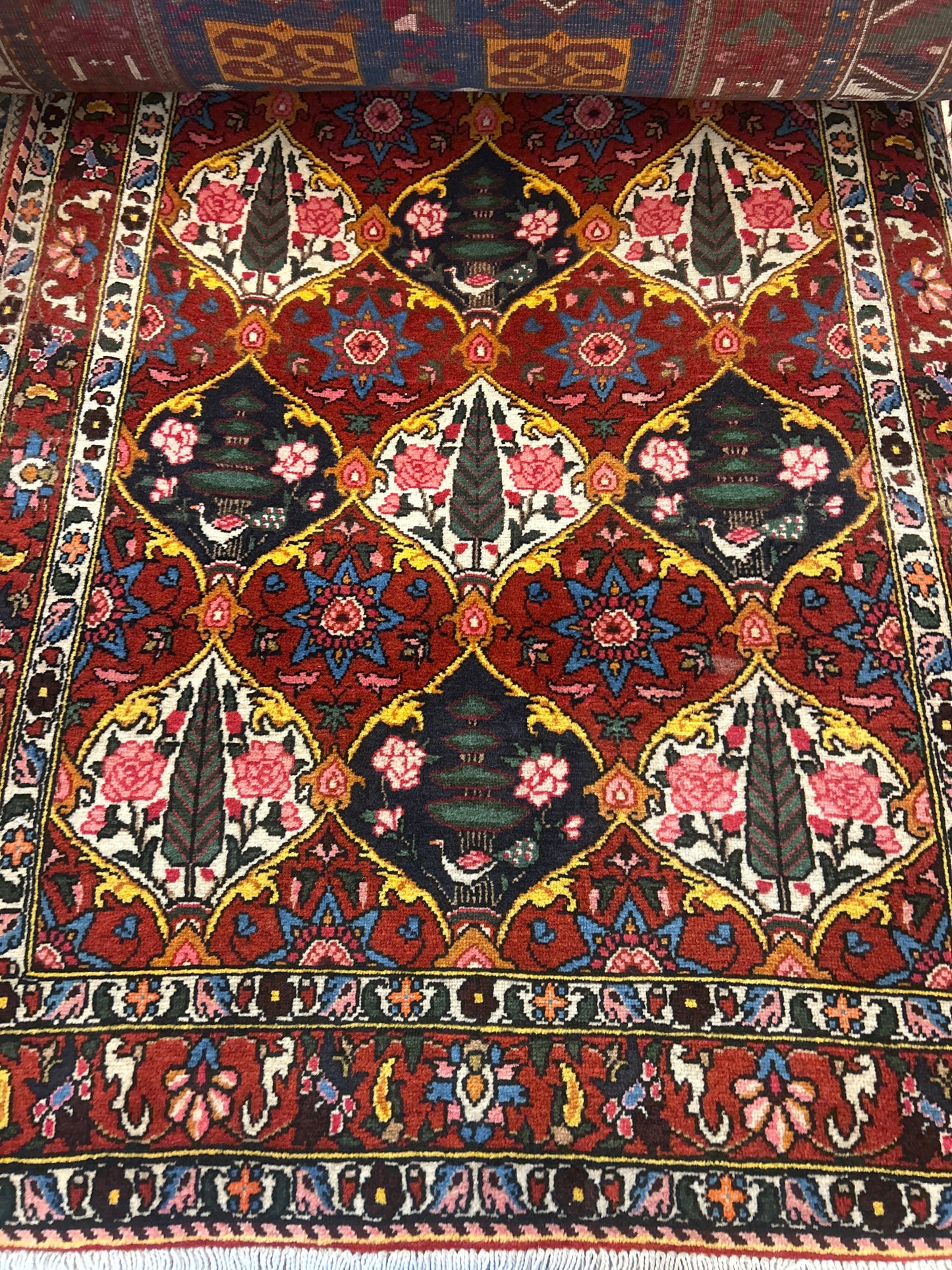 Persian Baktarie - 3.3x5.0 - 336941