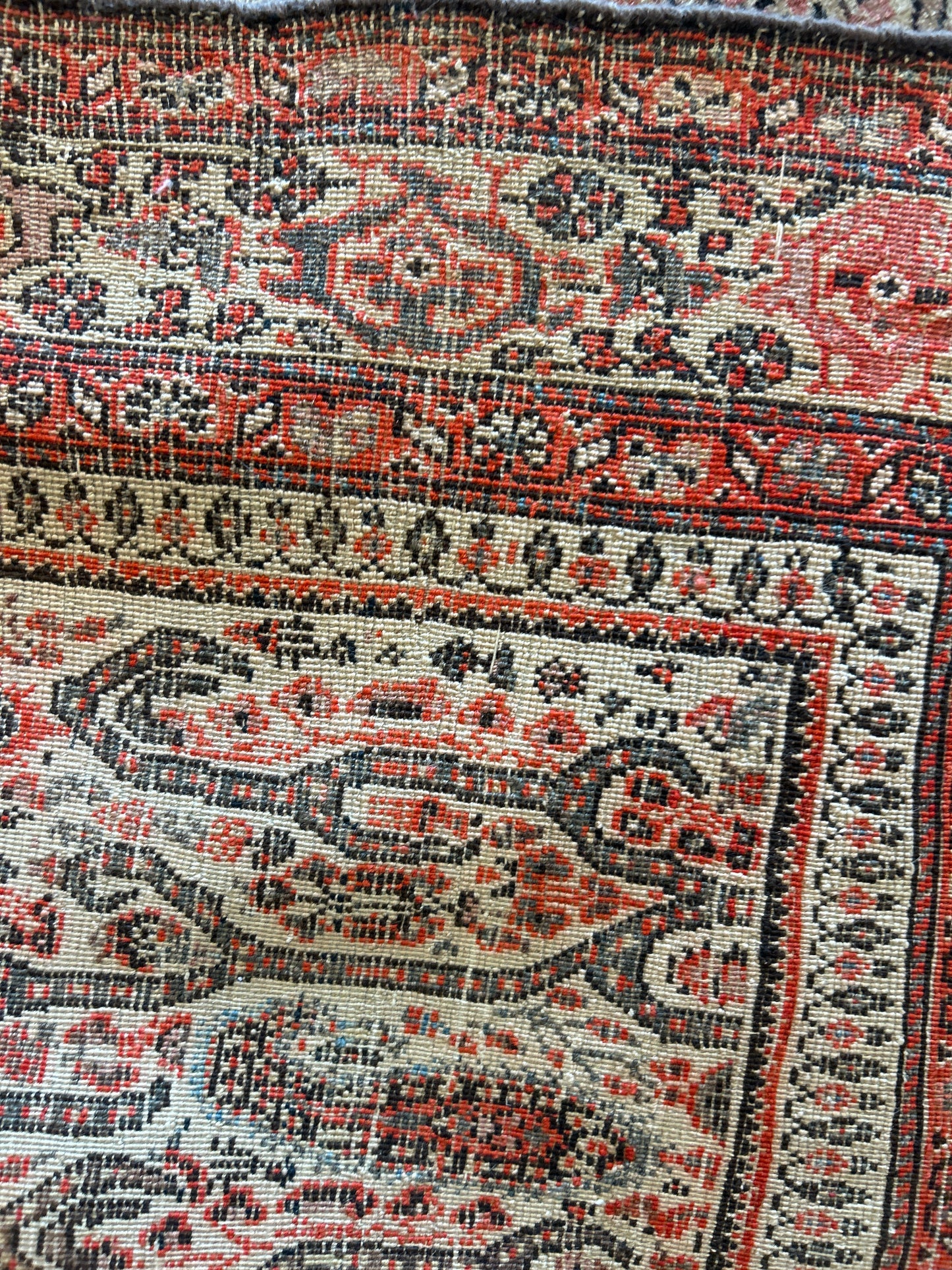 Persian Paisley - 4.3x6.0 - Z23695