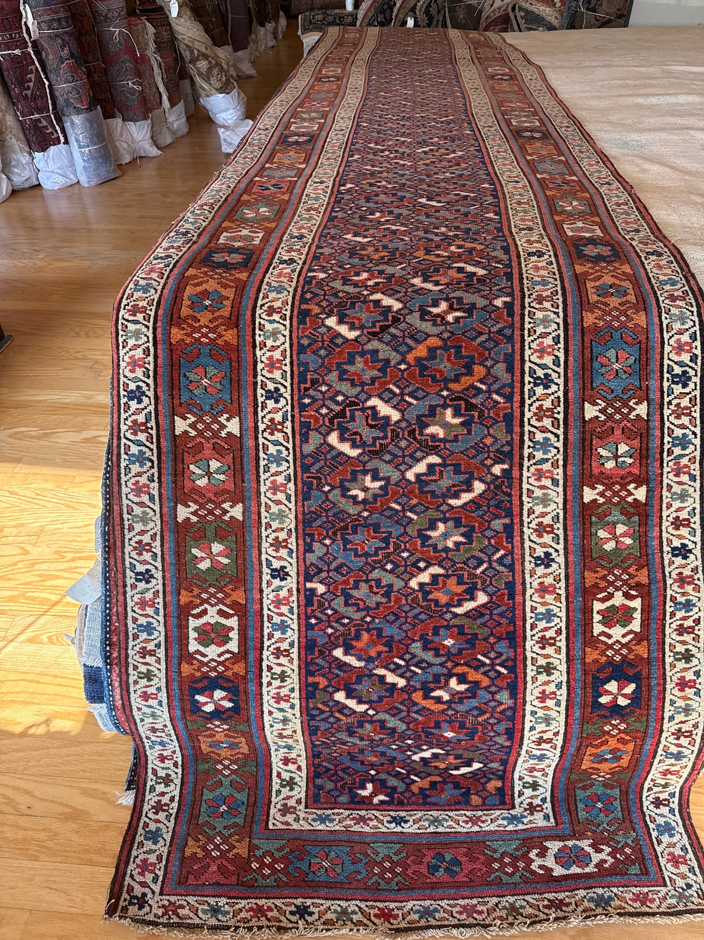 Persian Kurdish - 3.5x16.10 - FA116930