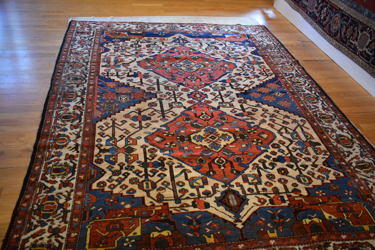 Persian Baktarie - 7.5x10.2 - 66941